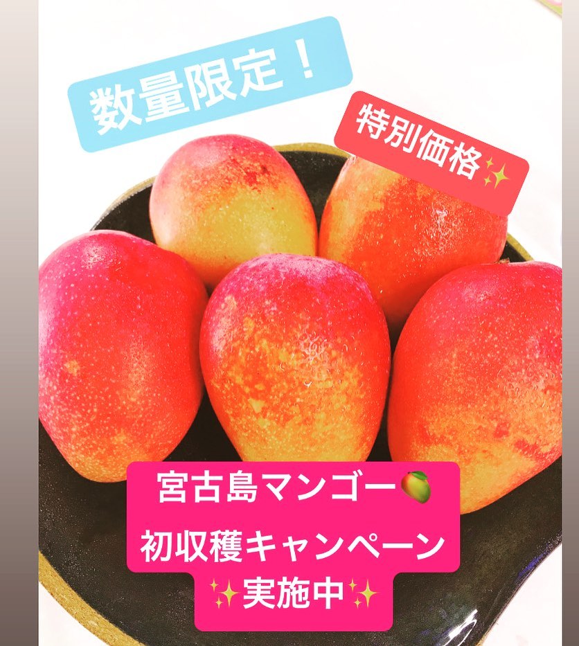 2020年初収穫のマンゴー🥭数量限定！特別価格で今回収穫分のみ販売します！詳しくは、一つ前の投稿をご確認下さい‍🥭 