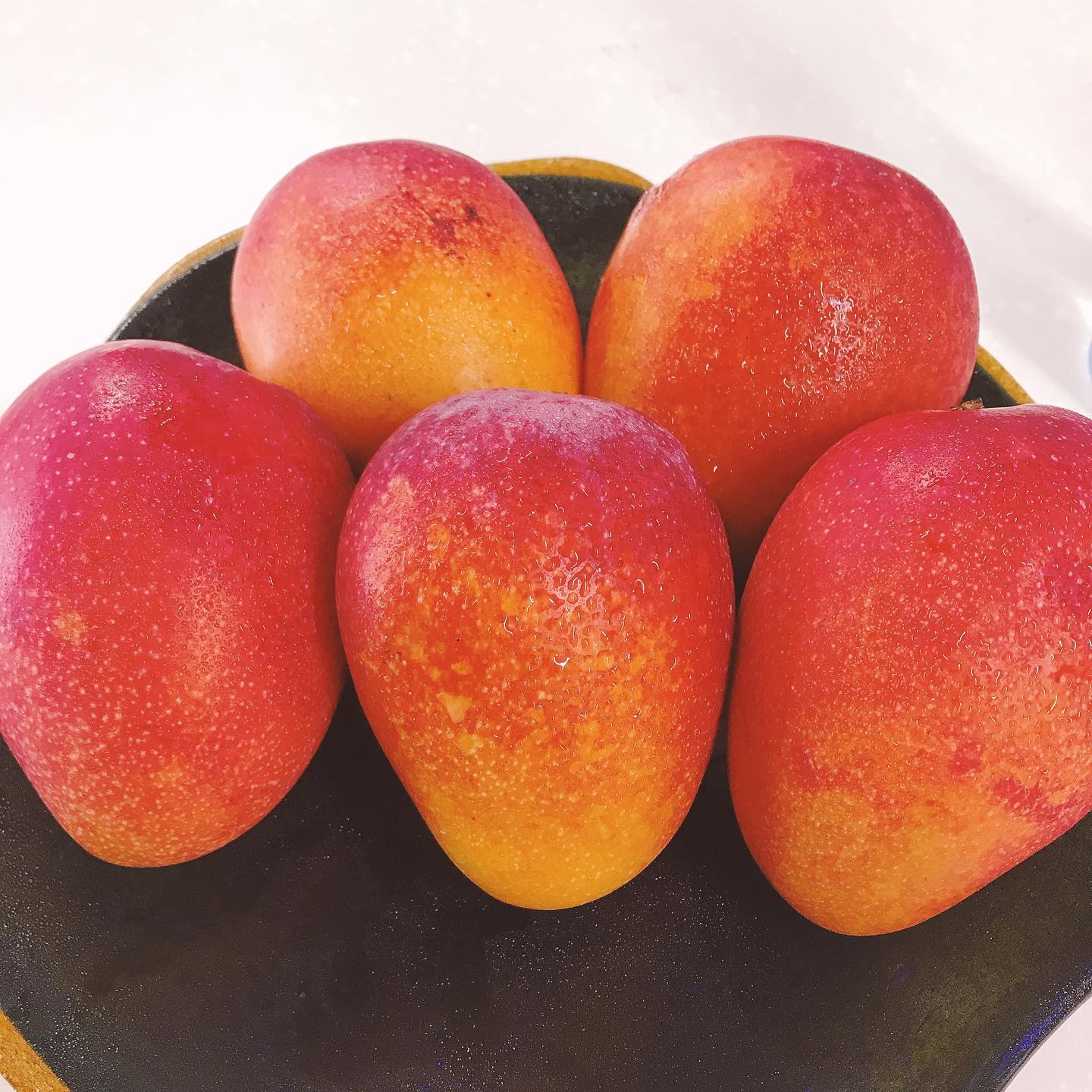 2020年初収穫のマンゴー🥭まだ発送できるほど収穫量はありませんが、今朝少し収穫できました🥭‍ 数量限定！特別価格で販売したいと思います ※下記の商品の詳細を確認していただき、承諾してくださった方のみご注文ください！ ☆通常価格☆B商品　(家庭用)2キロ　5,000円 ↓↓↓↓ 特別価格(家庭用)①2キロ　2,000円※箱なし。袋でのお渡しになります！平良市内まで受取に来ていただける方限定‍♀️ ②郵送希望の方2キロ　3000円※箱あり。新型コロナの影響で船便チルドでの輸送になりお時間がかかります‍♀️ ◉商品の詳細◉家庭用の商品は、マンゴー特有のたんそ(黒の斑点)があったりします。中身は美味しいマンゴーなのでご安心下さい‍🥭 またピーク時より早めの収穫となります。今回はピーク時より甘さ控えめでジュースやスムージーにオススメです🤩私は商品にならないマンゴーを冷凍マンゴーにしてスムージーにしていてます…︎ これからどんどんと収穫量、甘味増していきますのでお楽しみに！ご注文はDMまで！ 