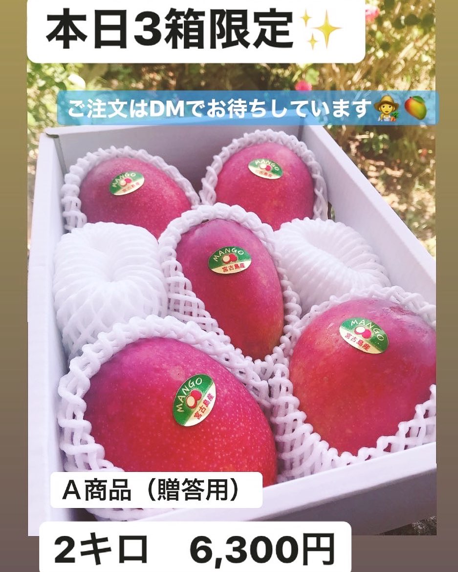 美味しいマンゴー収穫できました🤤🥭 3箱限定でＡ商品（贈答用）2キロご用意できます！！ お問合せはDMまで宜しくお願いします‍🥭 
