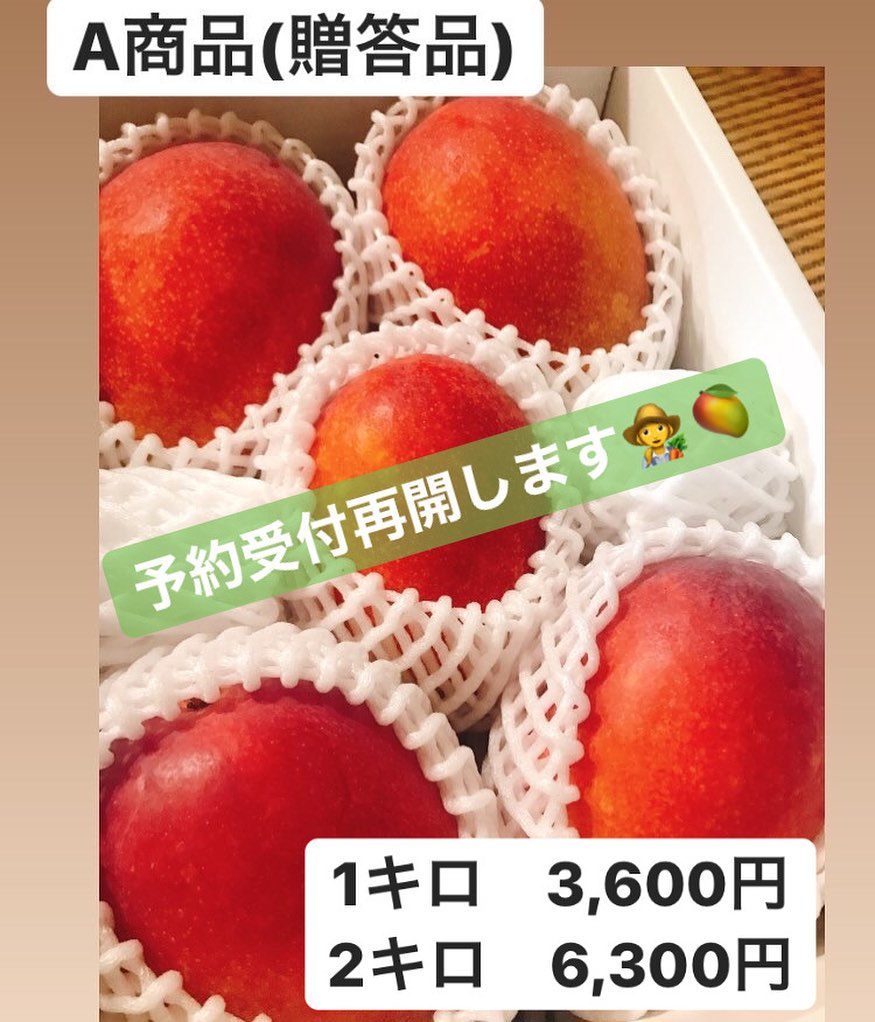 A商品(贈答用)予約受付再開いたします‍🥭 1キロ　3,600円2キロ  6,300円全て送料、チルド代込みのお値段となっております︎︎ 