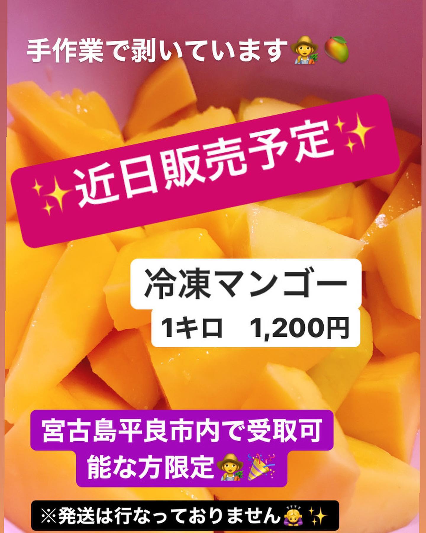 冷凍マンゴー近日販売予定です︎︎ 1キロ 1,200円手作業で剥いています‍🥭 ジュースやスムージにオススメです️ 今のところ発送は行わないため、宮古島平良市内で受取可能な方限定でお願い致します‍♀️ 
