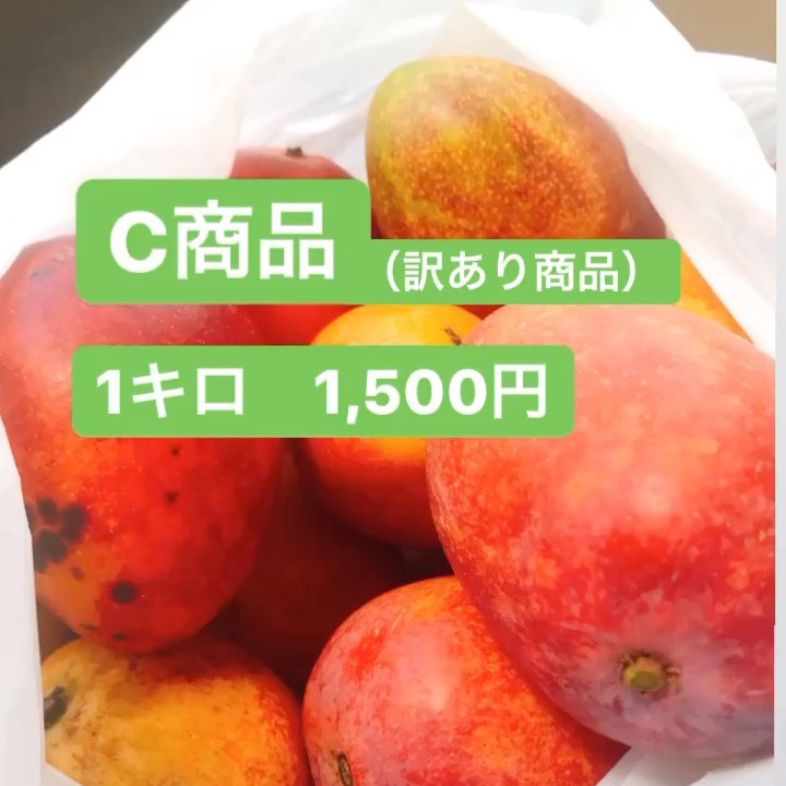 C商品(訳ありマンゴー🥭)1キロ　1,500円※発送はできません‍♀️※宮古島平良市内で受取可能な方※完全予約制です^_^当日商品をご用意できる場合ご連絡差し上げます！お店やマンゴー好きな地元の方に大好評いただいております︎︎