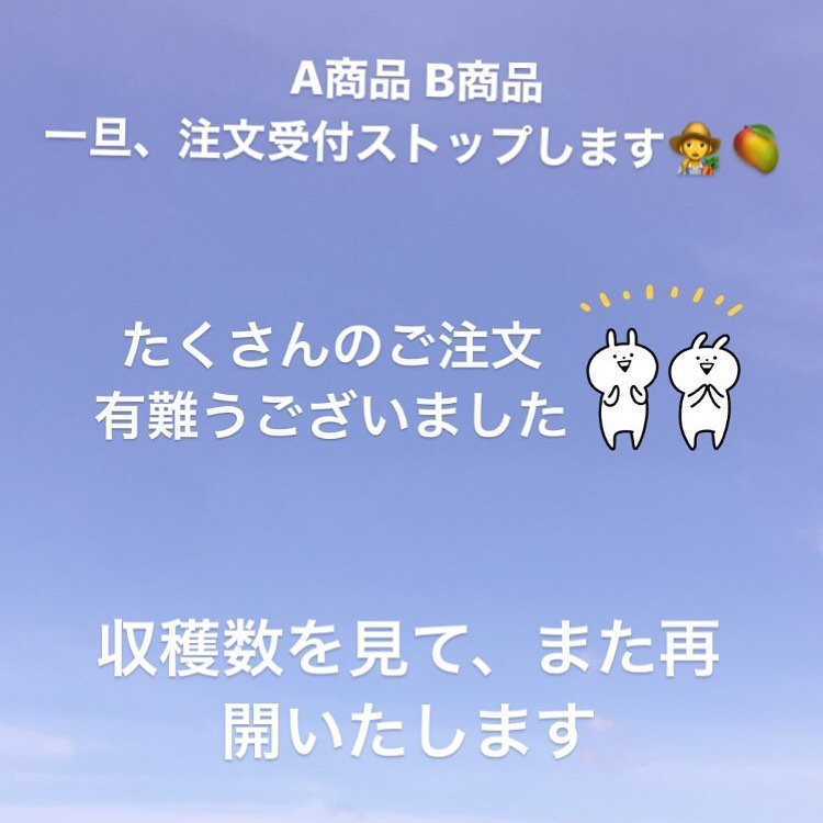 たくさんのご注文有難うございます‍🥭一旦注文受付をストップさせていただきます‍♀️また収穫をみて再開いたします‍C商品、冷凍マンゴーは引き続き受付中です︎︎DMお待ちしております