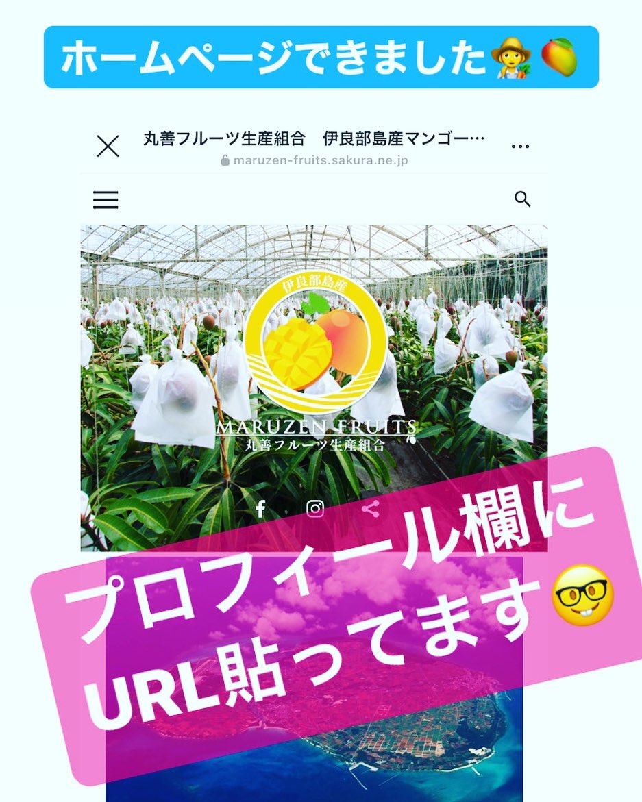 ホームページ完成しました‍🥭 ホームページから予約受付も可能となりました️ プロフィール欄にURL貼ってます🤓