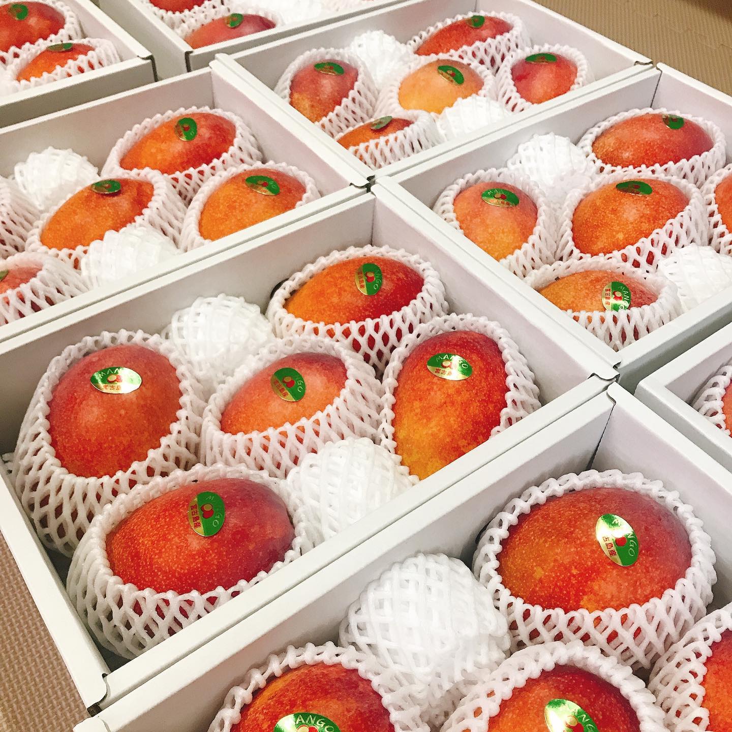 今日も綺麗なマンゴーたくさん出荷できました‍🥭ご注文くださった皆様有難うございました‍♀️明日の収穫数を見て、再度予約受付を再開します‍