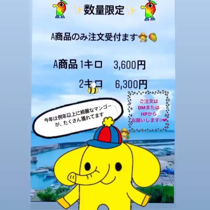 ご注文有難うございました‍🥭受付注文ストップ致します︎収穫数を見ながら再度受付します‍