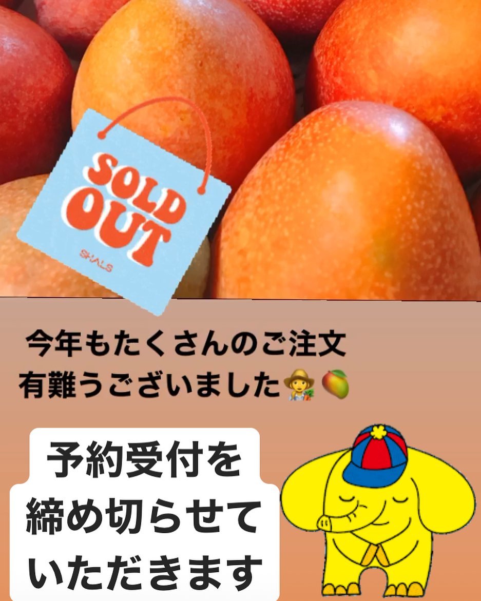 今年もたくさんのご注文有難うございました‍🥭予約受付を締め切らせていただきます！