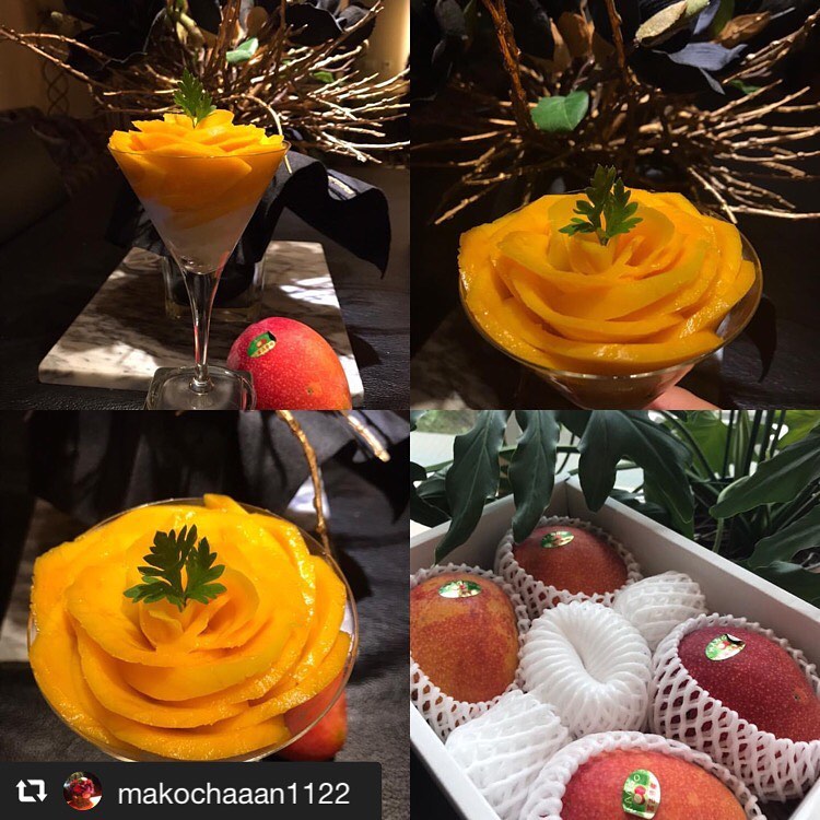 マンゴーパフェ🤤🤤🤤こんなに綺麗な盛り付け見た事ありませんお届けしたマンゴーが、美味しく美しく召し上がっていただけて本当に感激です‍作り手のパワーになります‍🥭今日は他にもお客様から、嬉しいお言葉をいただき明日ももっと頑張ろうと思いました‍🥭❣️