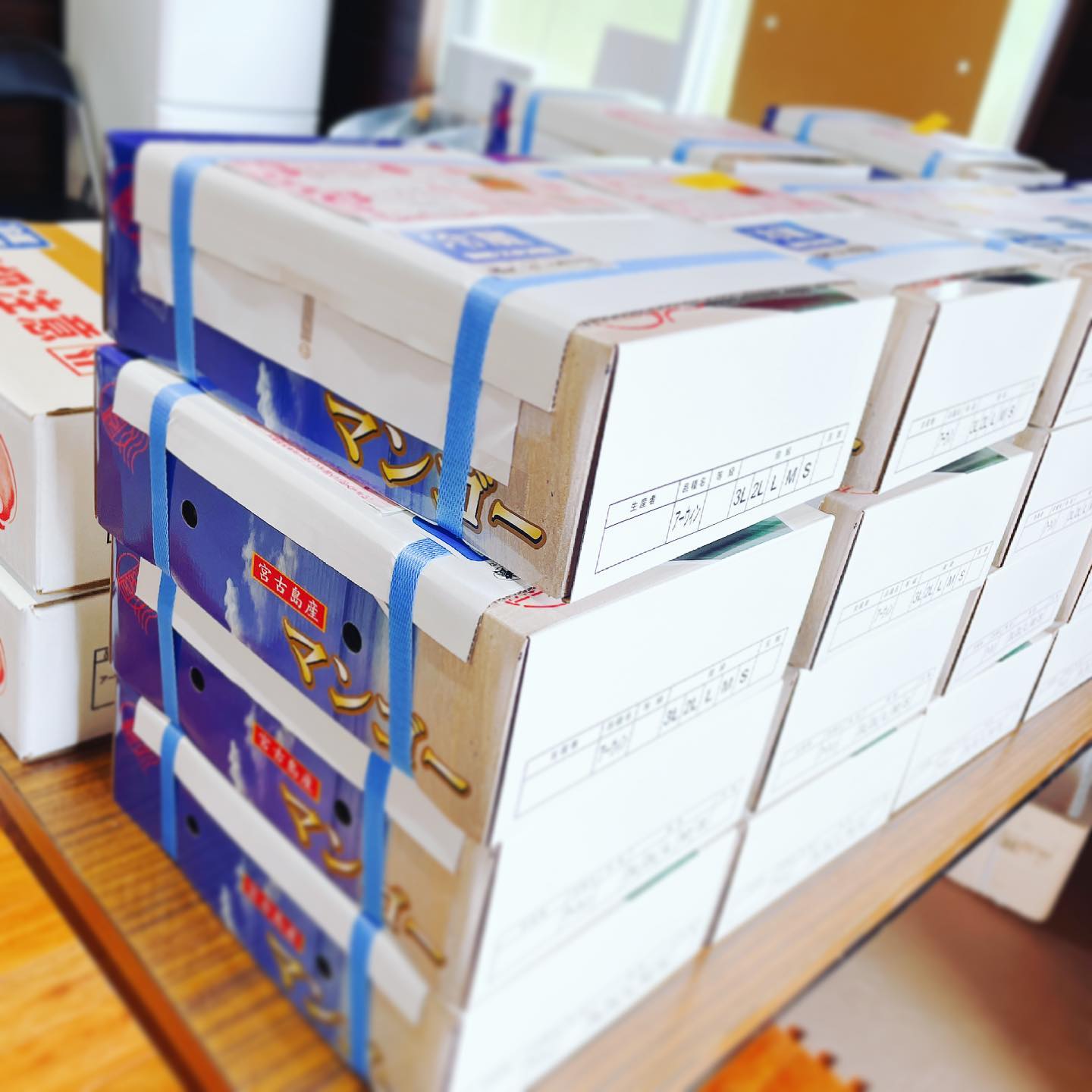 本日も着々と発送準備が進んでいます‍🥭たくさんのご注文本当にありがとうございます受付順に順次発送していきますので、ご注文してくださった皆様、発送まで今しばらくお待ちください‍♀️♡