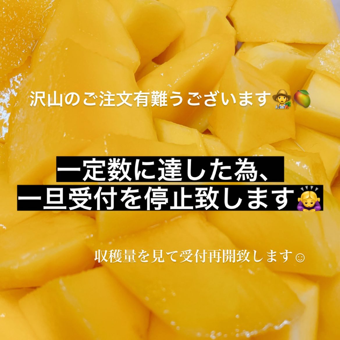 沢山のご注文まことに有難うございます‍一定数に達した為、一旦受付を停止致します！収穫量を見て再開致します︎︎