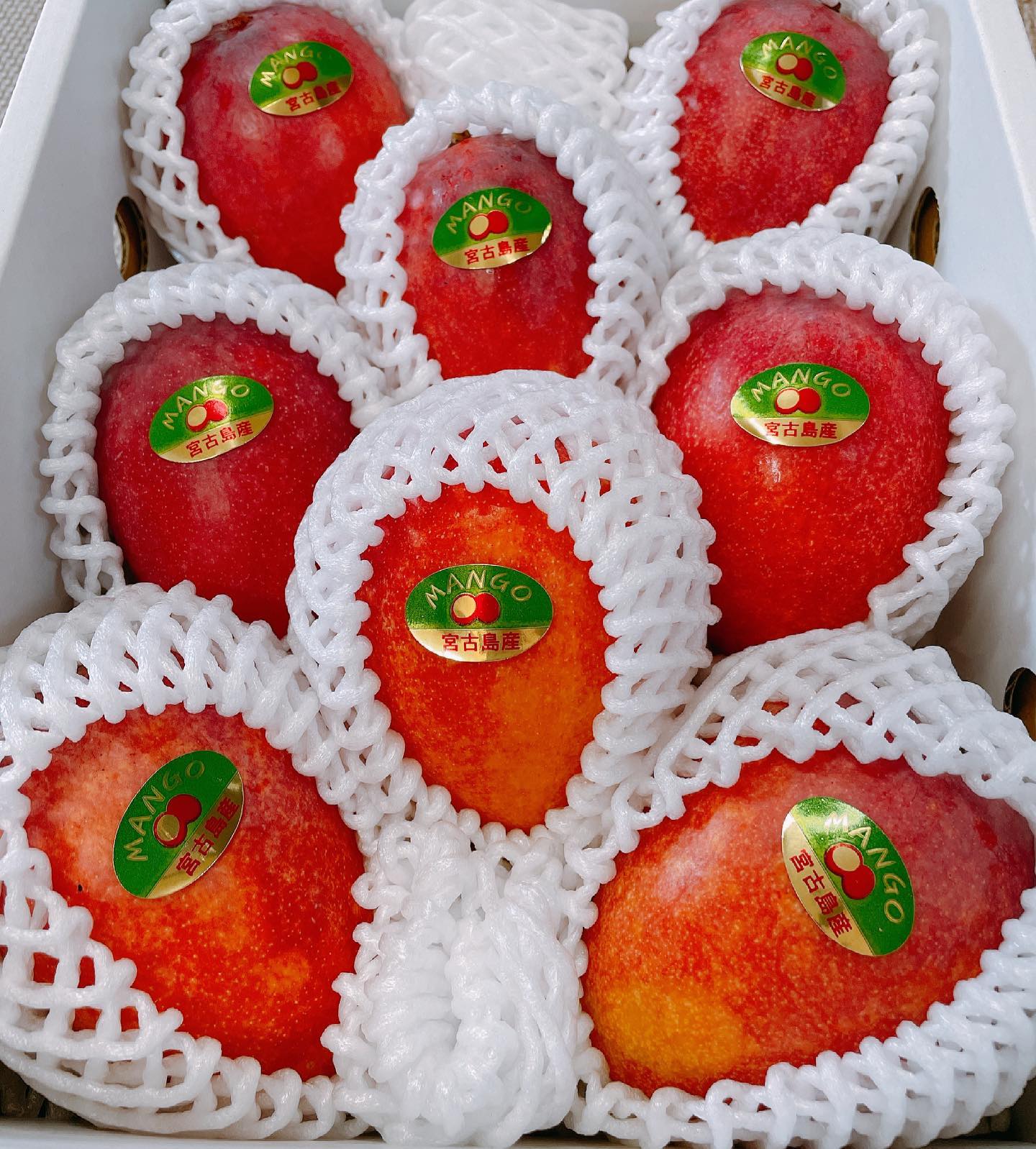 Instagram限定商品※販売条件がありますので、必ず最後までお読みください♀️小玉マンゴー🥭(1玉200g前後)2キロ(7〜8玉)¥4300 ※送料、チルド代込み︎販売条件︎・こちらの商品は、小玉マンゴーが採れた場合のみ発送(予約確定)となります。収穫期間中にまとまった数が採れない場合、期間終了後に予約は取消しとなります。・この商品に関しては贈答用、家庭用選別していません・予約受付はインスタDMのみ、数名限定となります!予約ご希望のお客様は、・お名前・電話番号を添えてDM下さい