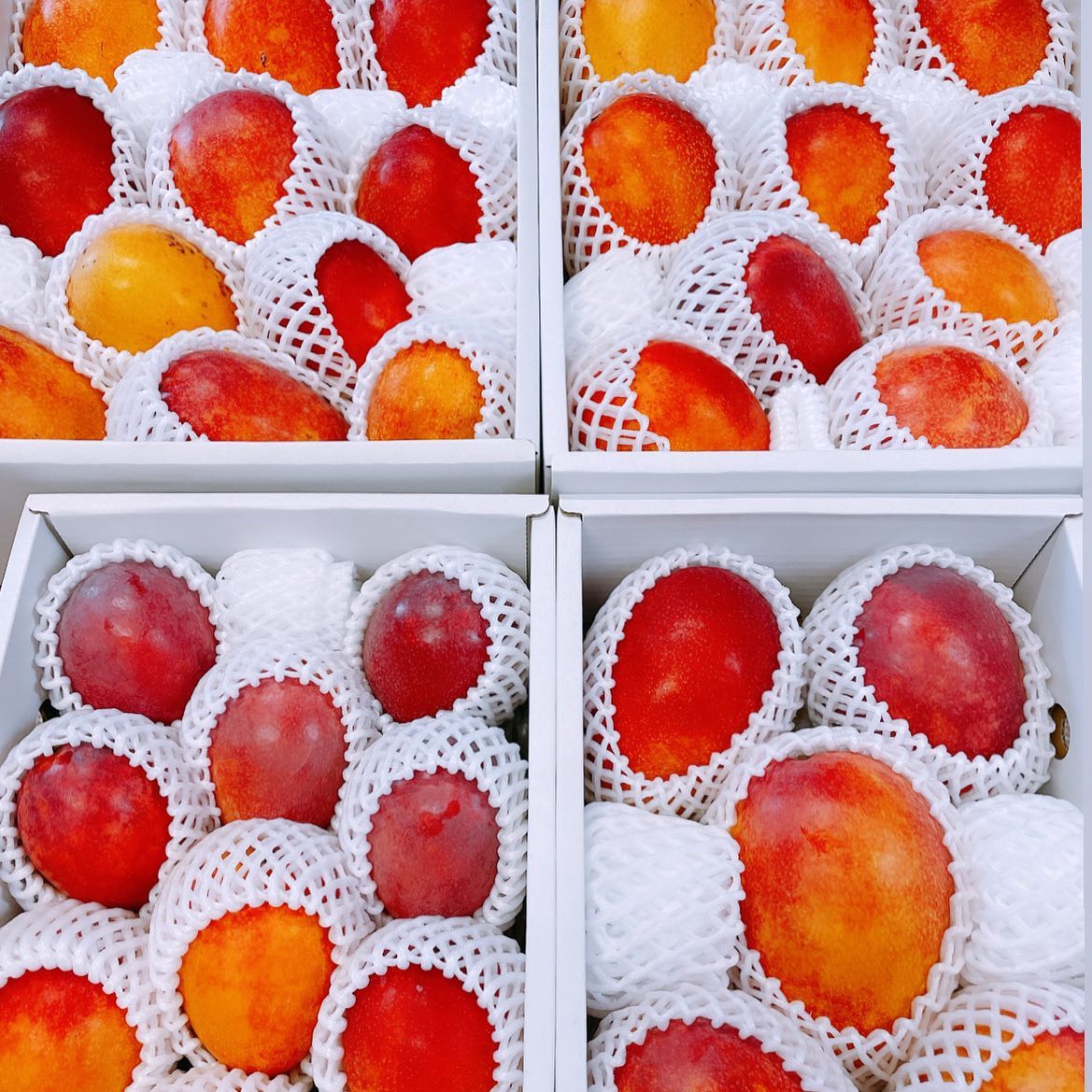 本日も宜しくお願いします‍ラストスパート！！がんばりますご注文も承っています！